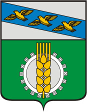 Официальный герб: Курчатовский район